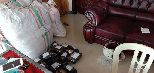 Agen JNE NK Collection