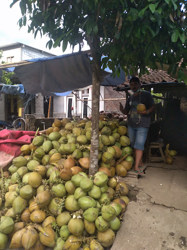 JNE Pati Gembong