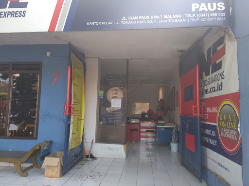 JNE Ikan Paus
