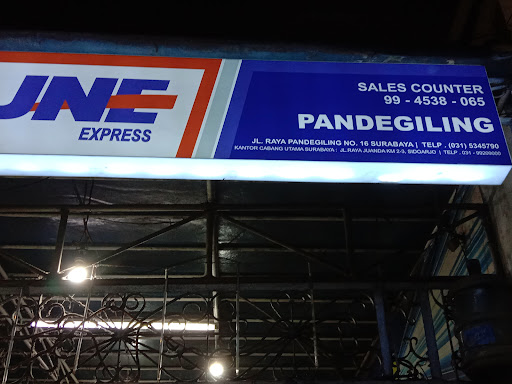 Agen JNE Pandegiling