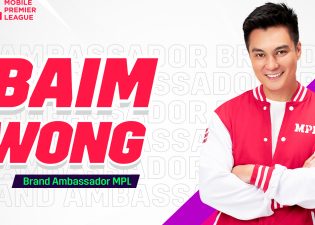 jne ambasador