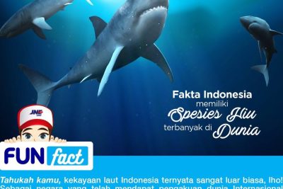 jne ikan paus