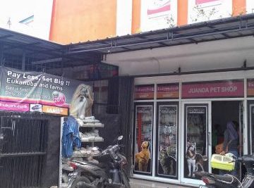 jne loa duri moja petshop